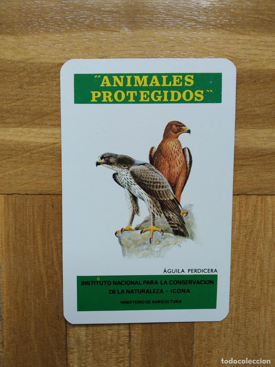 Collectionnisme Calendriers: CALENDARIO FOURNIER ICONA ANIMALES PROTEGIDOS AGUILA PERDICERA A&Ntilde;O 1974 VER FOTOS NUEVO