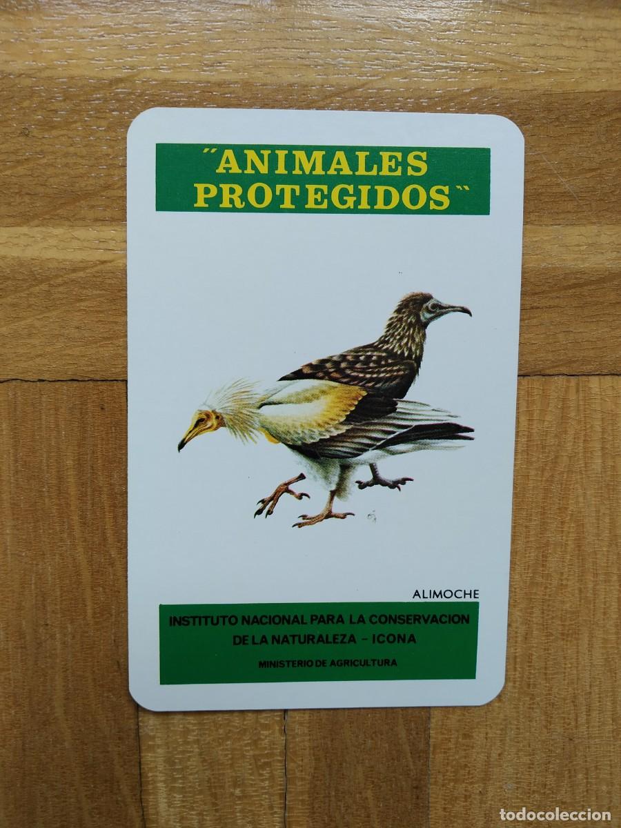 Collectables Calendars: CALENDARIO FOURNIER ICONA ANIMALES PROTEGIDOS ALIMOCHE A&Ntilde;O 1974 VER FOTOS NUEVO