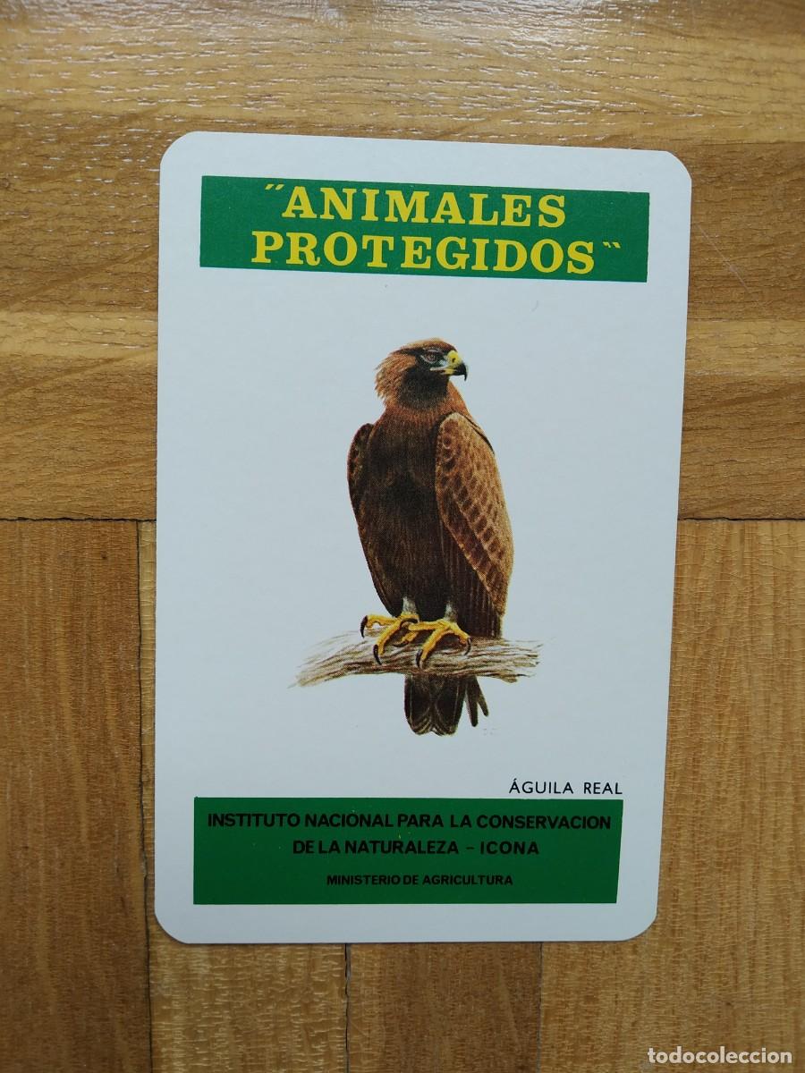 Collectionnisme Calendriers: CALENDARIO FOURNIER ICONA ANIMALES PROTEGIDOS AGUILA REAL A&Ntilde;O 1974 VER FOTOS NUEVO