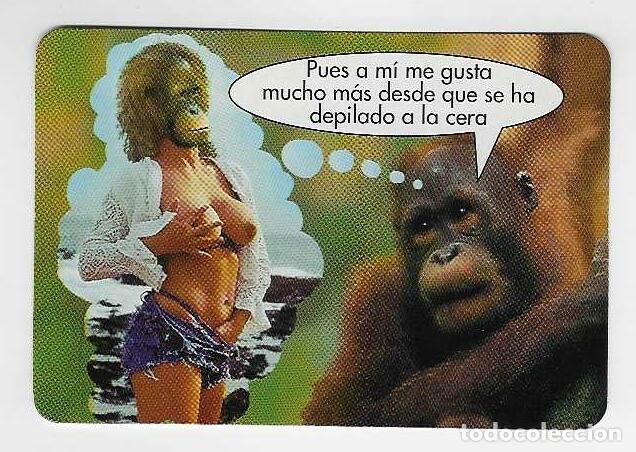 Coleccionismo calendarios: CALENDARIO DE BOLSILLO A&Ntilde;O 2000 HUMOR - ANIMALES - SIN PUBLICIDAD - VER FOTO REVERSO