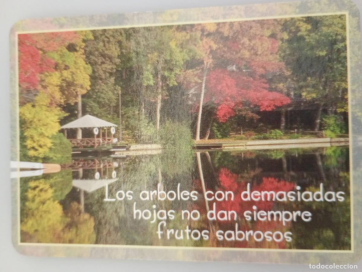 Coleccionismo calendarios: Calendario 2005 Serie BO 613 Frases celebres