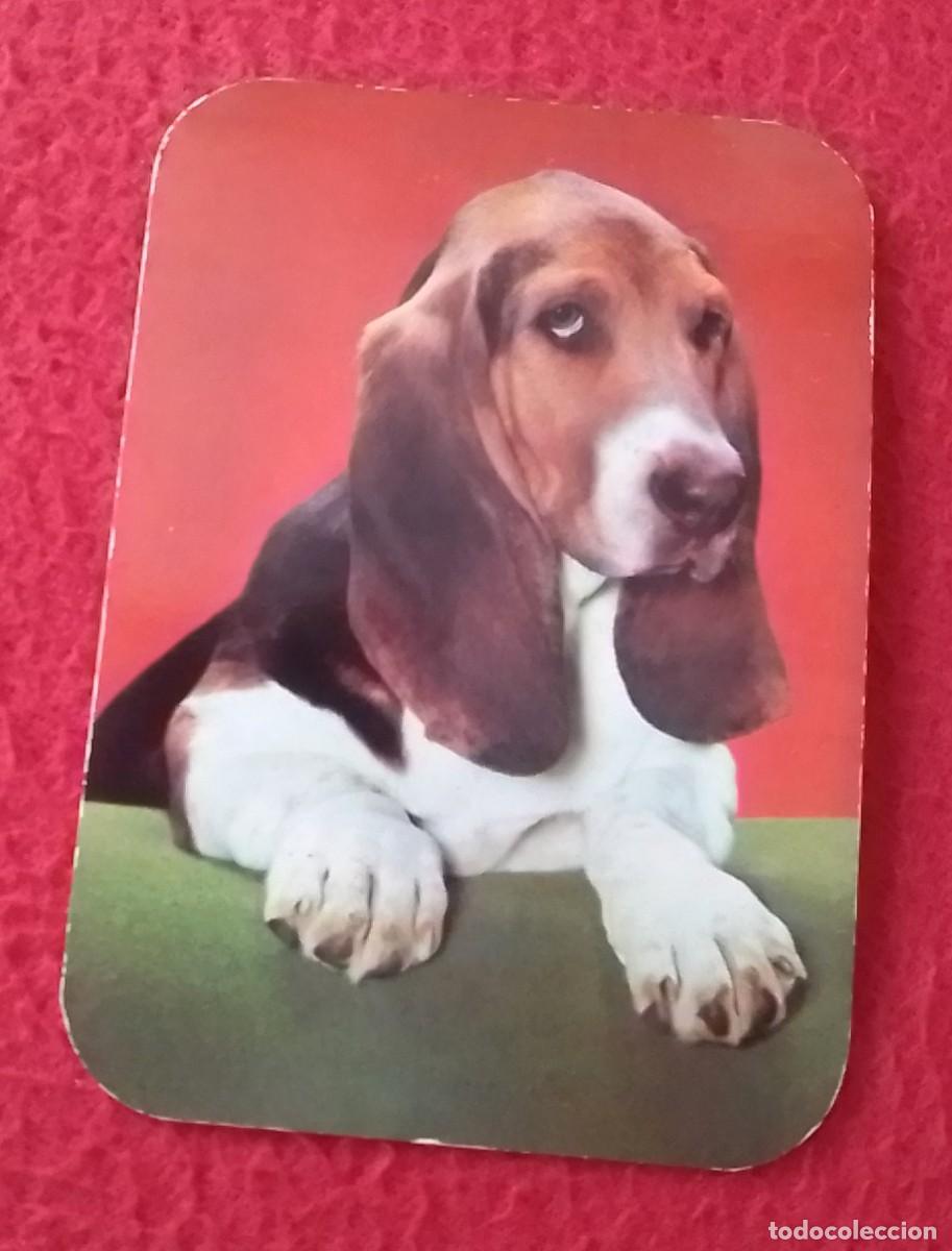 Sammeln von Kalendern: CALENDARIO DE BOLSILLO 1976 BAR BENITO SAN SEBASTI&Aacute;N DONOSTIA EUSKADI CALLE VICTOR PRADERA PERRO DOG