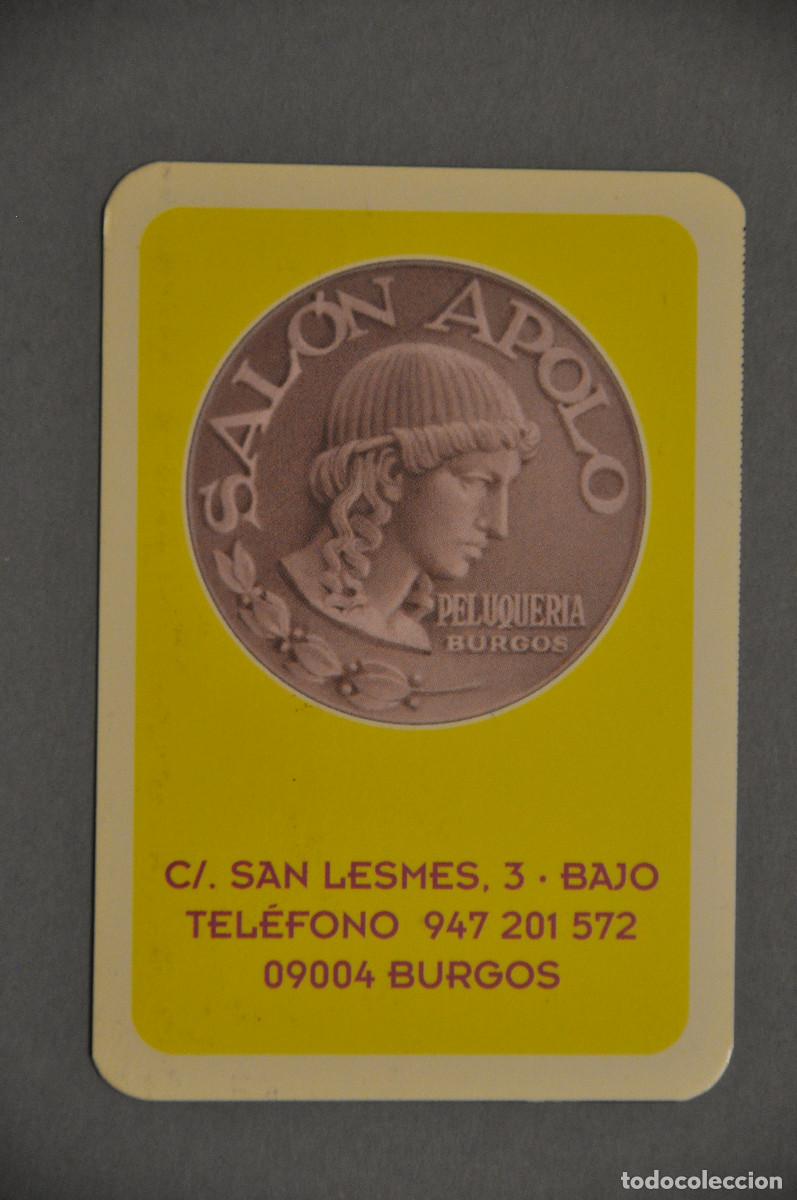 Coleccionismo calendarios: CALENDARIO DEL 2005 - PELUQUERIA SALON APOLO DE BURGOS