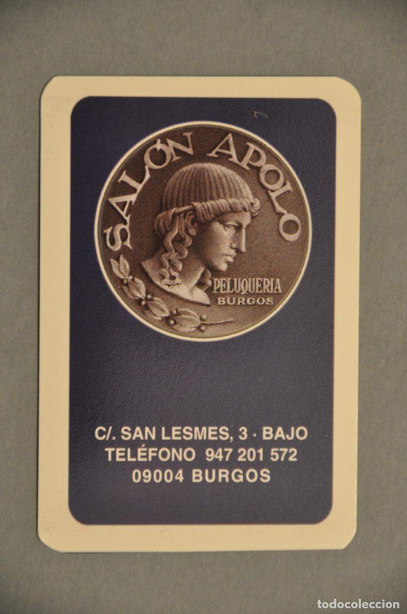 Coleccionismo calendarios: CALENDARIO DEL 2008 - PELUQUERIA SALON APOLO DE BURGOS