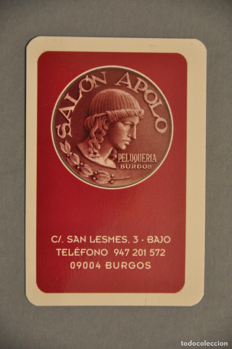 Coleccionismo calendarios: CALENDARIO DEL 2010 - PELUQUERIA SALON APOLO DE BURGOS