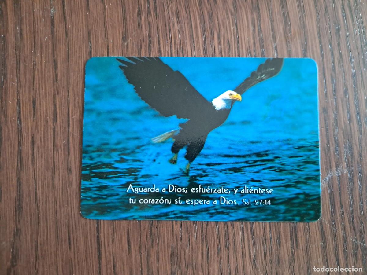 Coleccionismo calendarios: calendario de Per&uacute;, tipo religioso, &aacute;guila y frase, a&ntilde;o 2006.