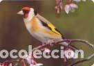 Coleccionismo calendarios: Calendario de bolsillo 2016 BO 516 - Foto 1