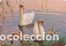 Collezionismo Calendari: Calendario de bolsillo 2016 BO 520