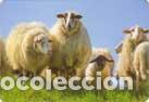 Sammeln von Kalendern: Calendario de bolsillo 2016 N (Pais Vasco) 7