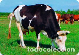 Sammeln von Kalendern: Calendario de bolsillo 2019 EDIJAR 186