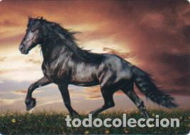 Coleccionismo calendarios: Calendario de bolsillo 2019 CB 55 - Foto 1
