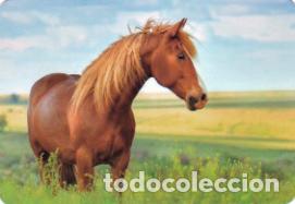 Sammeln von Kalendern: Calendario de bolsillo 2019 L 123