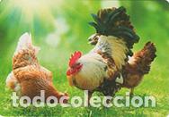Coleccionismo calendarios: Calendario de bolsillo 2024 CB 45
