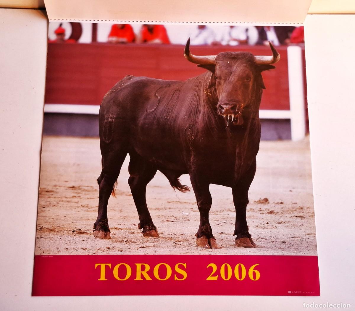 Collectionnisme Calendriers: CALENDARIO GRANDE TOROS 2006 - 43X45.CM