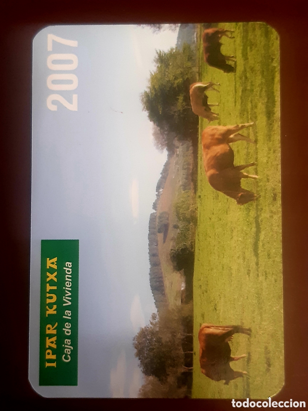 Coleccionismo calendarios: Calendario Ipar Kutxa 2007 - Foto 1