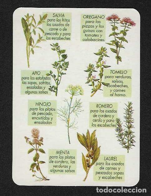 Collectionnisme Calendriers: CALENDARIO DE BOLSILLO A&Ntilde;O 2004 FLORA - PLANTAS - SU USO EN LA COCINA - VER FOTO REVERSO