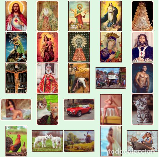 Collectionnisme Calendriers: Calendarios de bolsillo: Serie Edijar del 2.021 completa