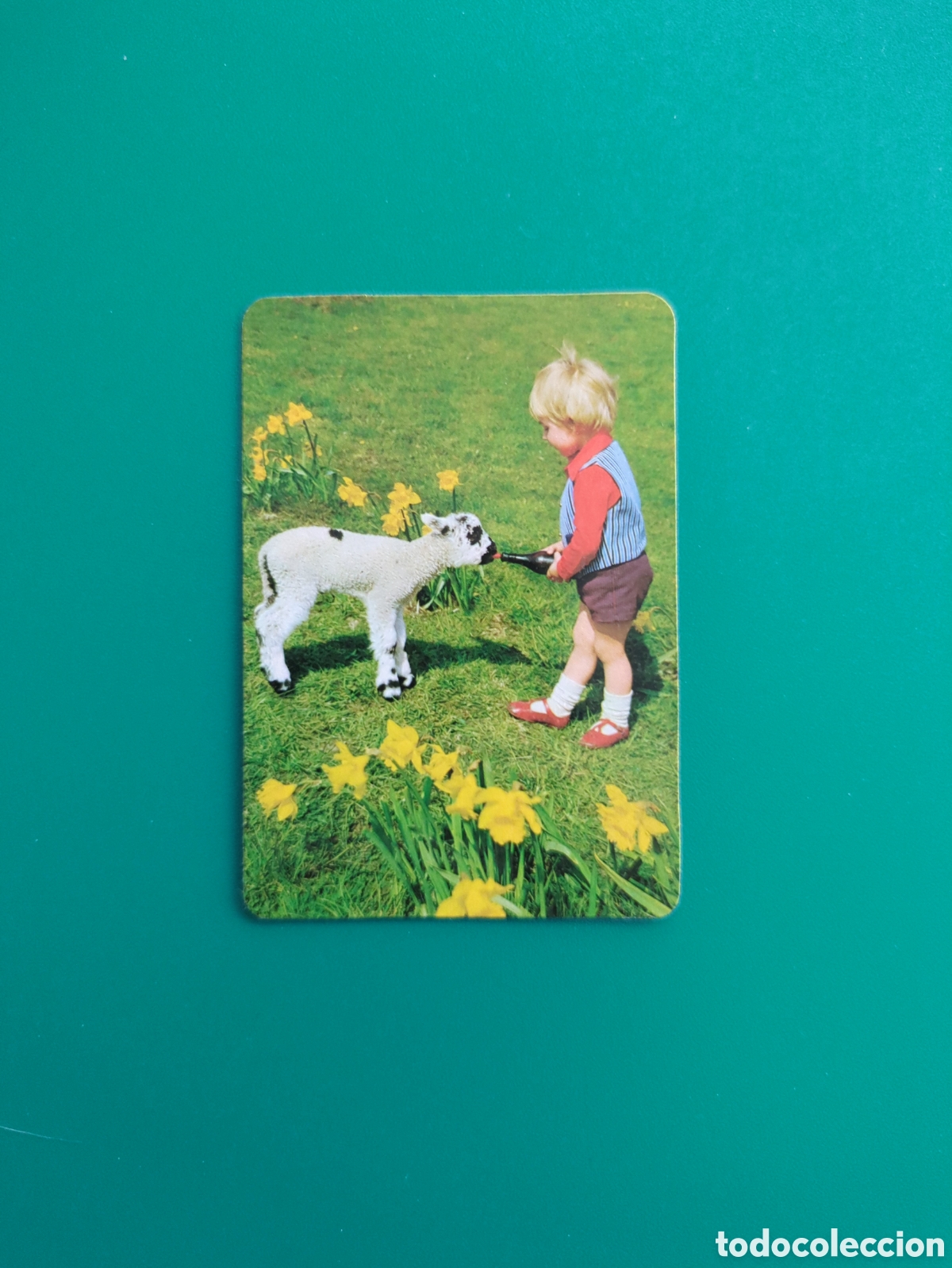 Coleccionismo calendarios: Calendario de bolsillo a&ntilde;o 1981. Fotograf&iacute;a animal y ni&ntilde;o