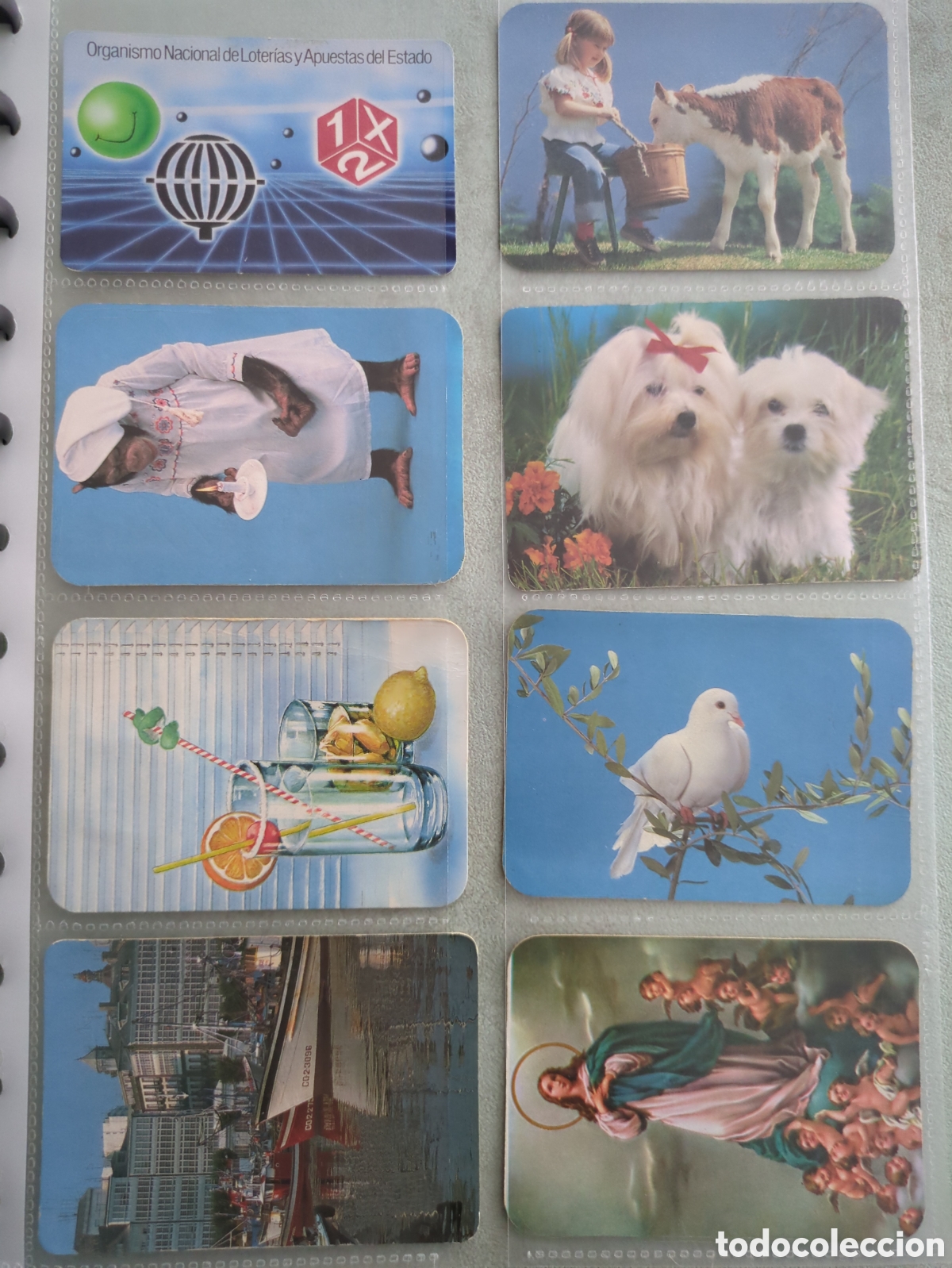 Coleccionismo calendarios: Lote calendarios de bolsillo a&ntilde;o 1988