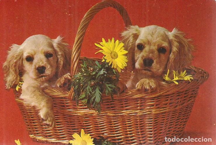 Coleccionismo calendarios: CALENDARIO DE SERIE A&Ntilde;O 1973 - Foto 1