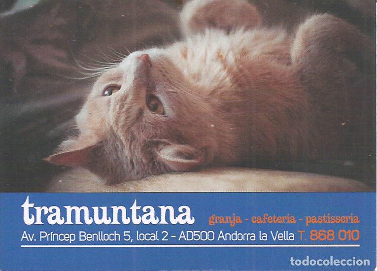 Coleccionismo calendarios: CALENDARIO PUBLICIDAD DE ANDORRA 2022