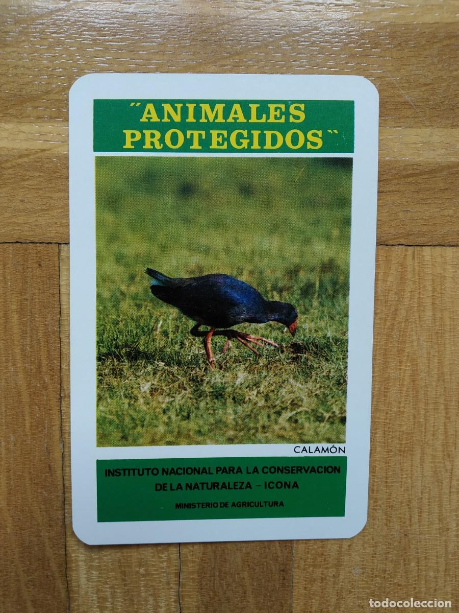 Coleccionismo calendarios: CALENDARIO FOURNIER ICONA ANIMALES PROTEGIDOS CALAMON A&Ntilde;O 1974 VER FOTOS NUEVO