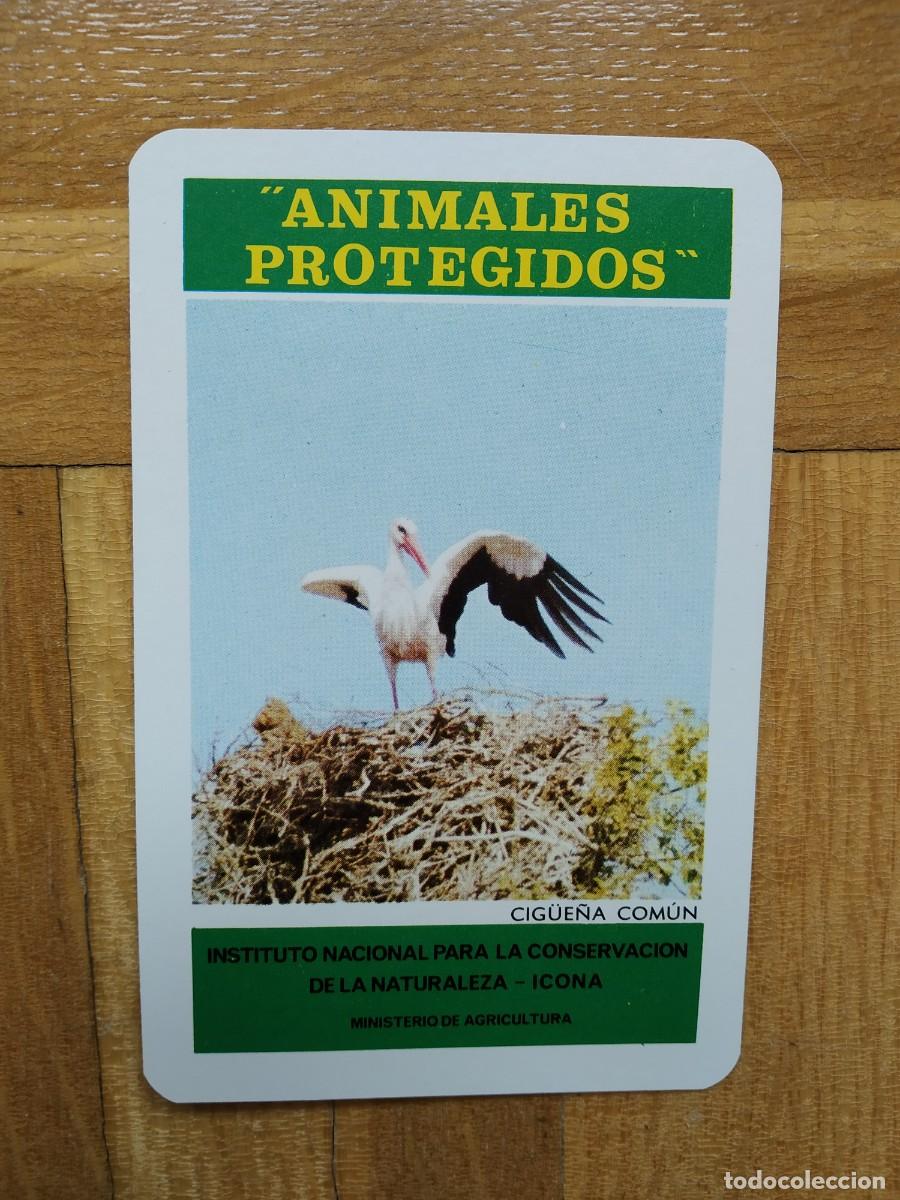 Collectionnisme Calendriers: CALENDARIO FOURNIER ICONA ANIMALES PROTEGIDOS CIGUE&Ntilde;A COMUN A&Ntilde;O 1974 VER FOTOS NUEVO