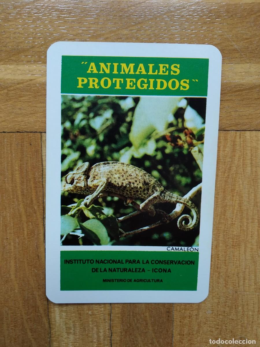 Colecionismo Calend&aacute;rios: CALENDARIO FOURNIER ICONA ANIMALES PROTEGIDOS CAMALEON A&Ntilde;O 1974 VER FOTOS NUEVO