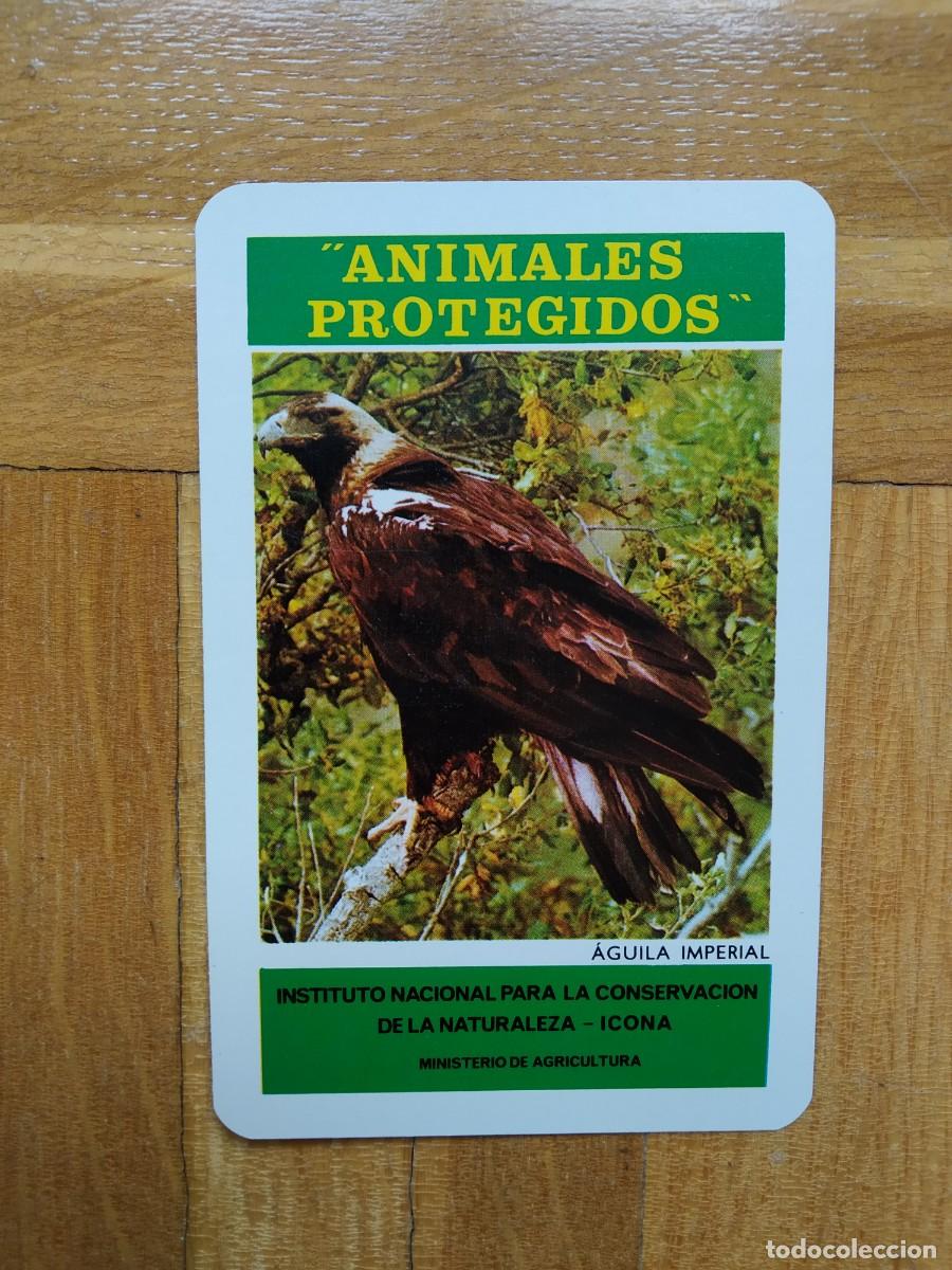 Colecionismo Calend&aacute;rios: CALENDARIO FOURNIER ICONA ANIMALES PROTEGIDOS AGUILA IMPERIAL A&Ntilde;O 1974 VER FOTOS NUEVO