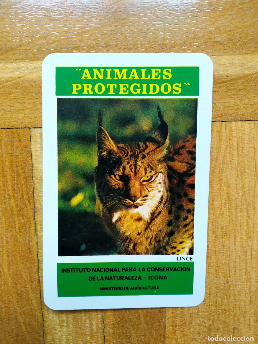 Colecionismo Calend&aacute;rios: CALENDARIO FOURNIER ICONA ANIMALES PROTEGIDOS LINCE A&Ntilde;O 1974 VER FOTOS NUEVO