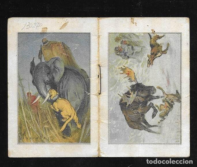 Colecionismo Calend&aacute;rios: Almanaque Litogr&aacute;fico Bisiesto 1917 serie Fauna ex&ograve;tica Segrelles ?