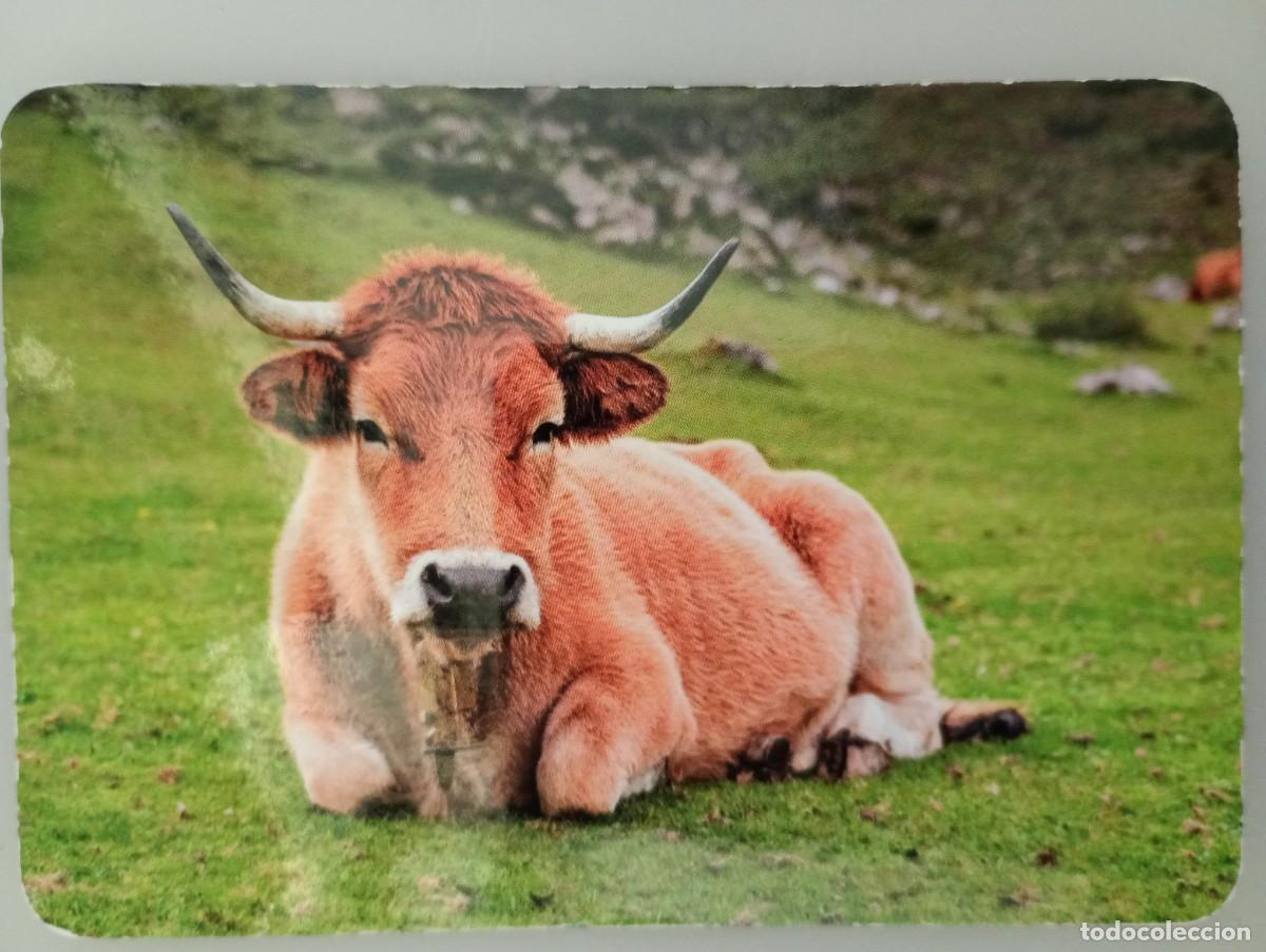 Coleccionismo calendarios: Calendario 2019 Serie L 124 Animales