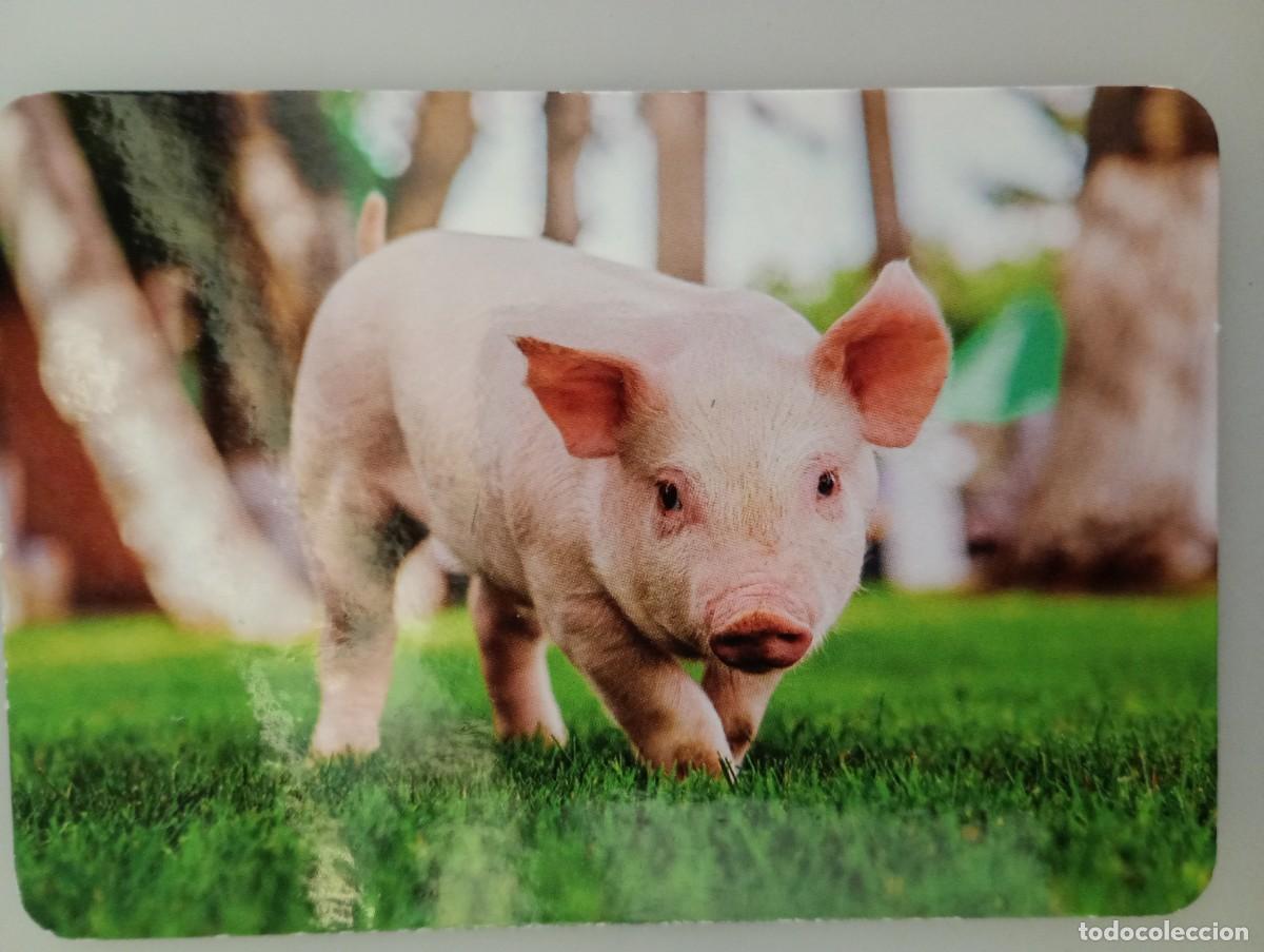 Coleccionismo calendarios: Calendario 2019 Serie L 127 Animales