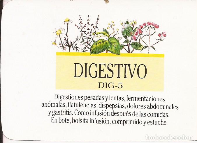 Coleccionismo calendarios: CALENDARIO SANTIVERI 1991