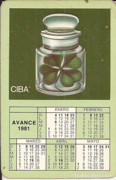 Colecionismo Calend&aacute;rios: CALENDARIO CIBA 1980