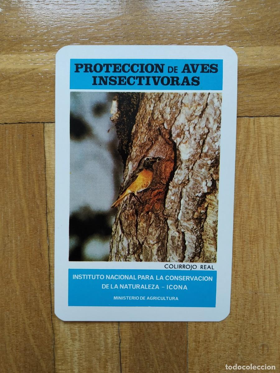 Collectionnisme Calendriers: CALENDARIO FOURNIER ICONA PROTECCION AVES INSECTIVORAS COLIRROJO REAL A&Ntilde;O 1974 VER FOTOS NUEVO