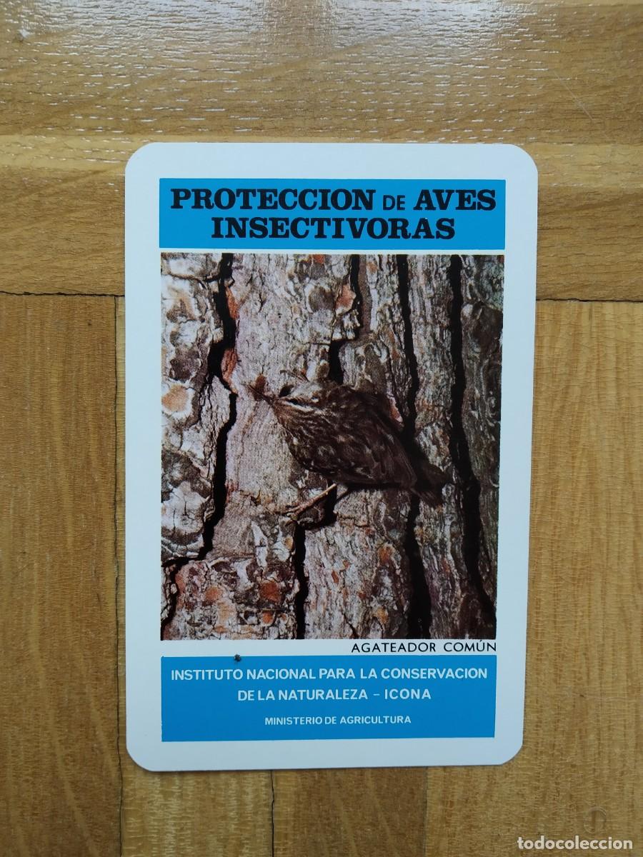 Sammeln von Kalendern: CALENDARIO FOURNIER ICONA PROTECCION AVES INSECTIVORAS AGATEADOR COMUN A&Ntilde;O 1974 VER FOTOS NUEVO