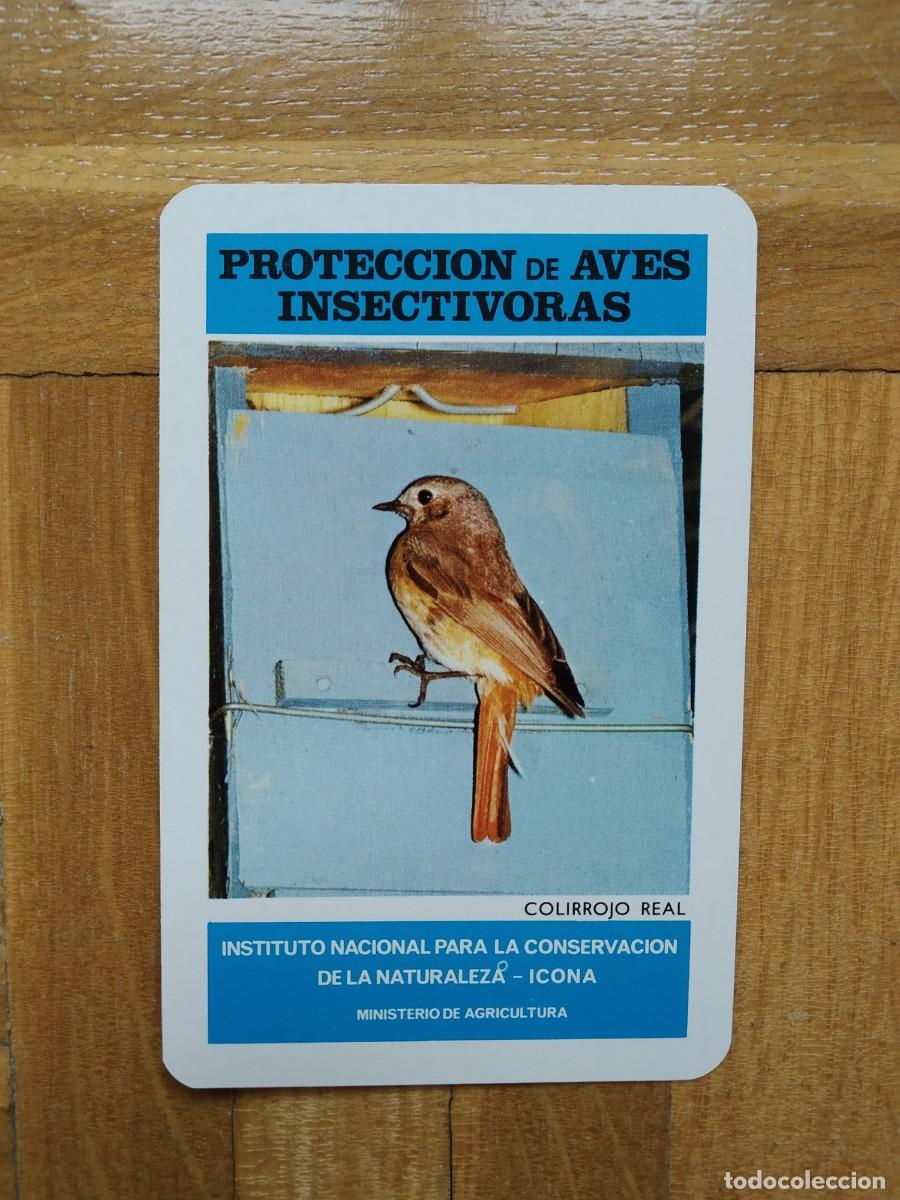 Collectionnisme Calendriers: CALENDARIO FOURNIER ICONA PROTECCION AVES INSECTIVORAS COLIRROJO REAL A&Ntilde;O 1974 VER FOTOS NUEVO