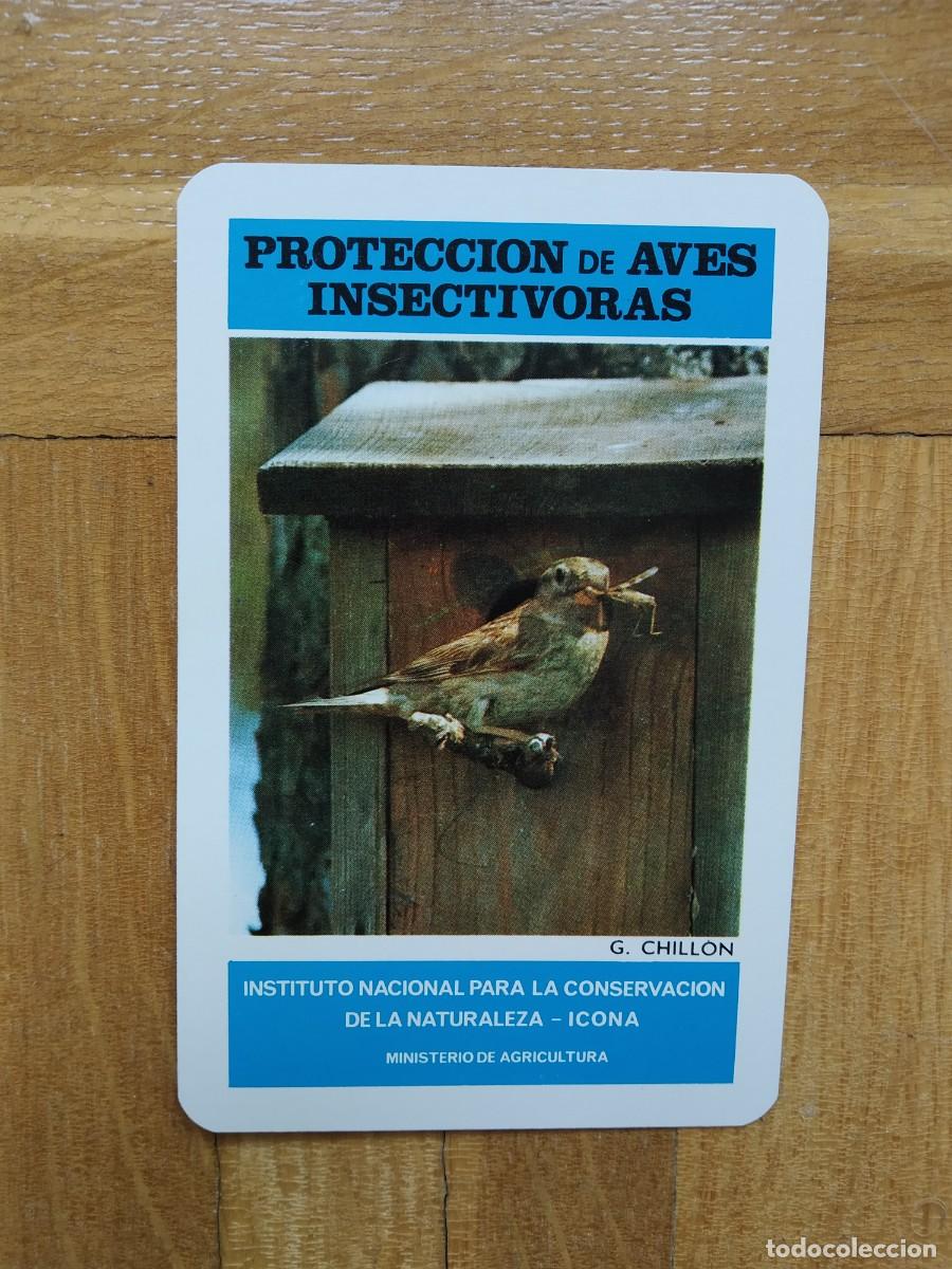 Collectionnisme Calendriers: CALENDARIO FOURNIER ICONA PROTECCION AVES INSECTIVORAS G CHILLON A&Ntilde;O 1974 VER FOTOS NUEVO