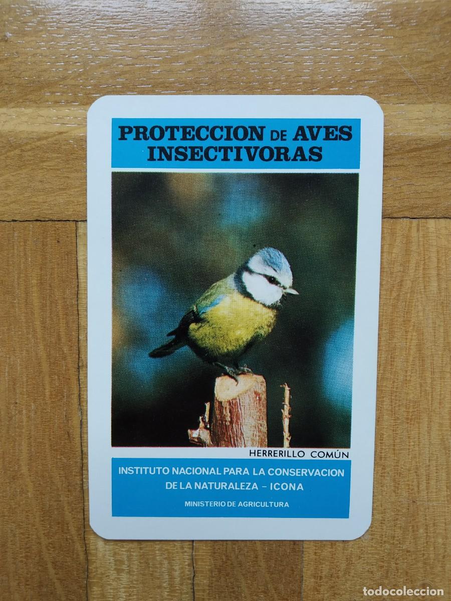 Collectionnisme Calendriers: CALENDARIO FOURNIER ICONA PROTECCION AVES INSECTIVORAS HERRERILLO COMUN A&Ntilde;O 1974 VER FOTOS NUEVO
