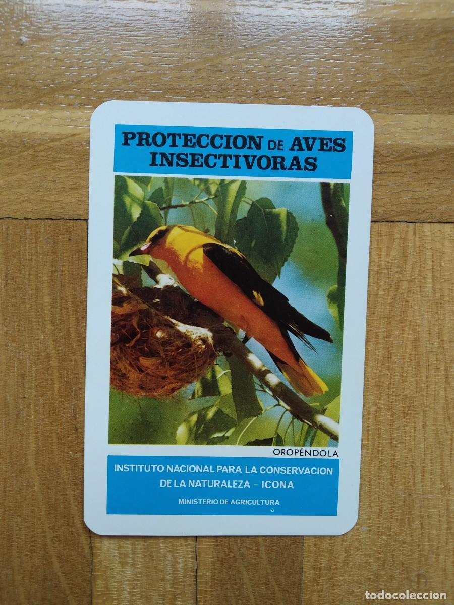 Collectionnisme Calendriers: CALENDARIO FOURNIER ICONA PROTECCION AVES INSECTIVORAS OROPENDOLA A&Ntilde;O 1974 VER FOTOS NUEVO