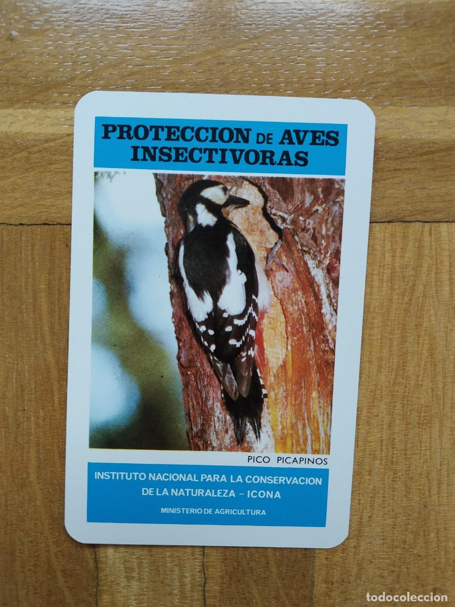 Collectables Calendars: CALENDARIO FOURNIER ICONA PROTECCION AVES INSECTIVORAS PICO PICAPINOS A&Ntilde;O 1974 VER FOTOS NUEVO