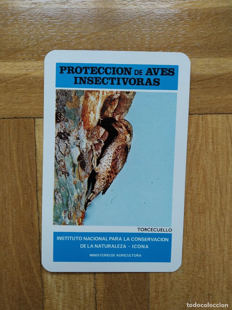 Collectables Calendars: CALENDARIO FOURNIER ICONA PROTECCION AVES INSECTIVORAS TORCECUELLO A&Ntilde;O 1974 VER FOTOS NUEVO
