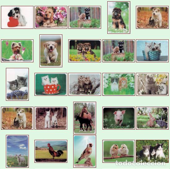 Collectionnisme Calendriers: Animales 2.019: Lote de 78 calendarios
