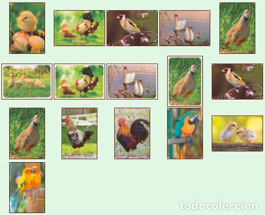 Colecionismo Calend&aacute;rios: Aves 2.016: Lote de 16 calendarios