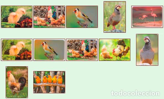 Collectionnisme Calendriers: Aves 2.018: Lote de 12 calendarios