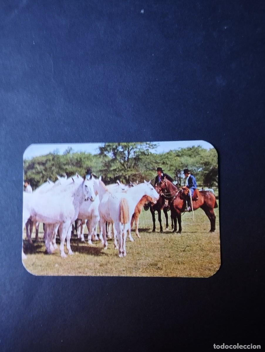 Colecionismo Calend&aacute;rios: CALENDARIO PUBLICIDAD DEL A&Ntilde;O 1980 - EL DE LA FOTOS VER TODOS MIS CALENDARIOS