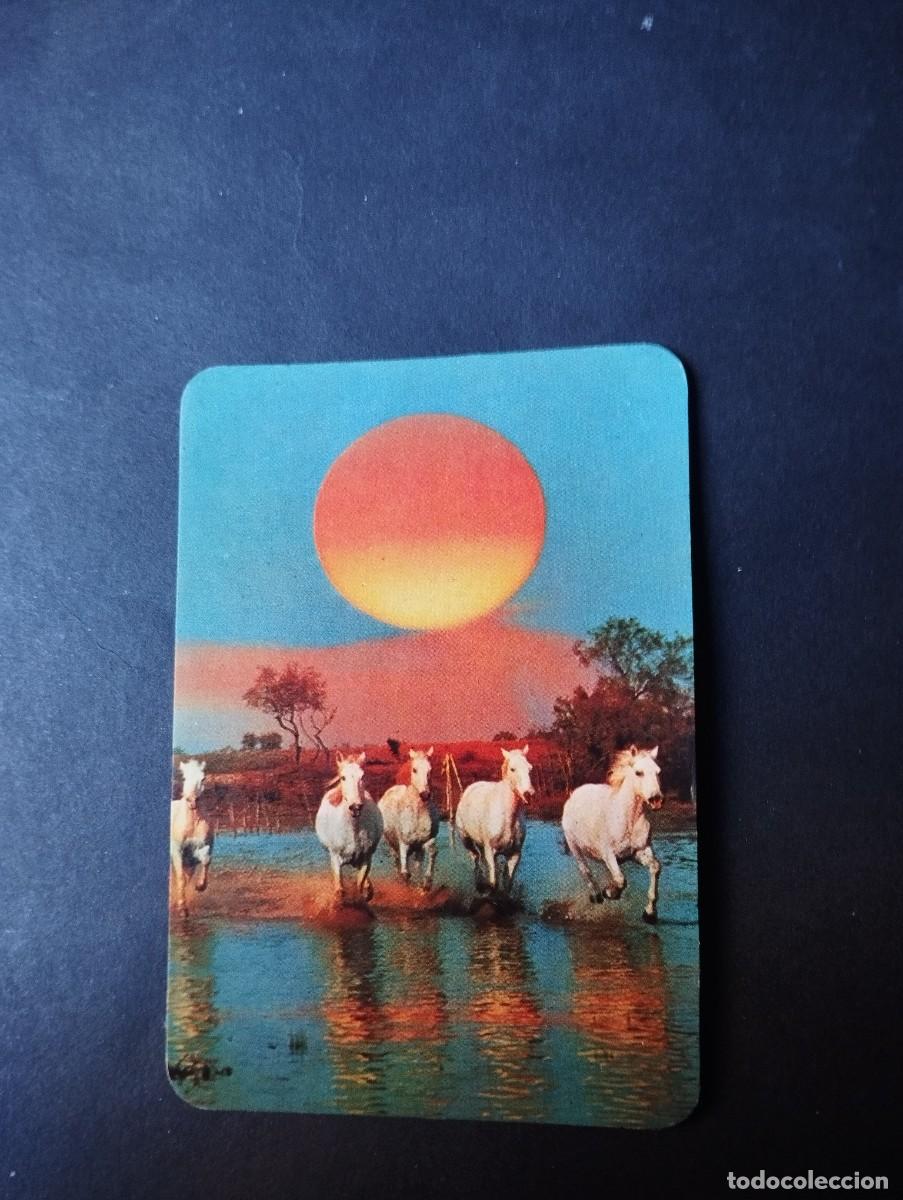 Coleccionismo calendarios: CALENDARIO PUBLICIDAD DE ZAMORA DEL A&Ntilde;O 1982 - EL DE LA FOTOS VER TODOS MIS CALENDARIOS
