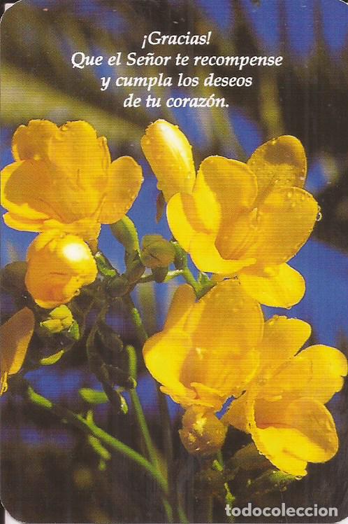 Coleccionismo calendarios: CALENDARIO SAN PABLO 2008