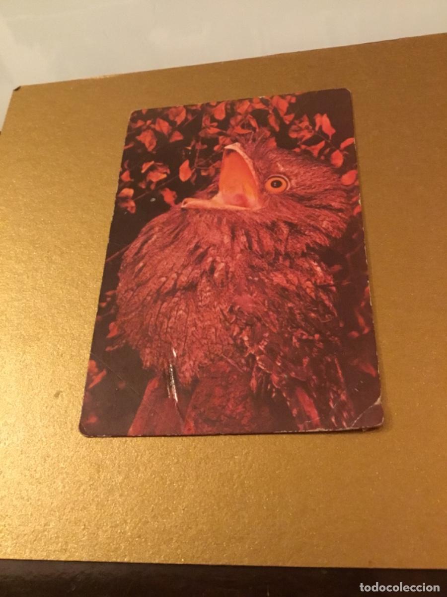 Coleccionismo calendarios: Antiguo calendario aves 1987